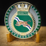 Antique Silver and Polished Gold 2D coin with Imitation Hard Enamel paint and offset printed tiger. HMCS Fredericton challenge Coin Canada