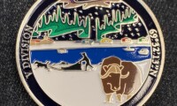 2D Challenge Coin with 2D Die